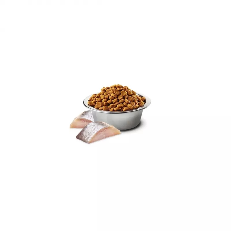 Farmina N&D Spirulina Herring sausas maistas katėms, 1,5 kg