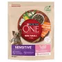 Sausas šunų ėdalas Purina Nestlé One Mini/Small Sensitive Salmon & Rice 800 g – mažiems šunims (5–10 kg), senjorams, 27% baltymų, 17% riebalų