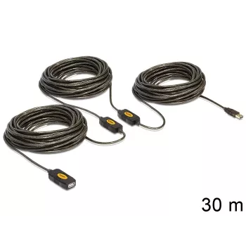 USB laidas DeLOCK 30m USB 2.0 USB A juodas