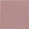 Thermal Grizzly Minus Pad 8 šiluminė tarpinė 100 x 100 x 0,5 mm, 2 vnt.