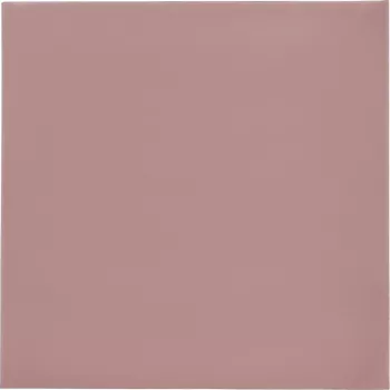Thermal Grizzly Minus Pad 8 šiluminė tarpinė 100 x 100 x 0,5 mm, 2 vnt.