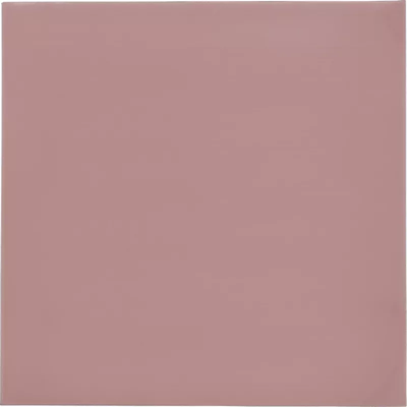 Thermal Grizzly Minus Pad 8 šiluminė tarpinė 100 x 100 x 0,5 mm, 2 vnt.