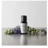 HoMedics Wind Down eterinis aliejus 15 ml Aromadifuzoriui