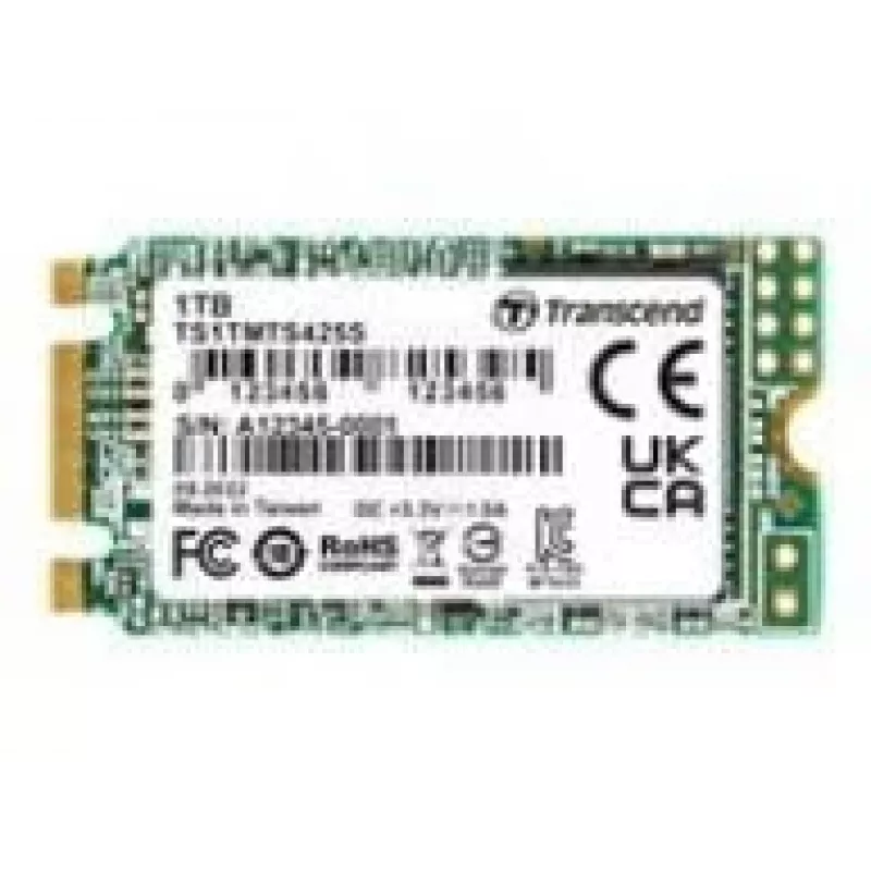 SSD diskas Transcend 1 TB M.2 SATA III 425S