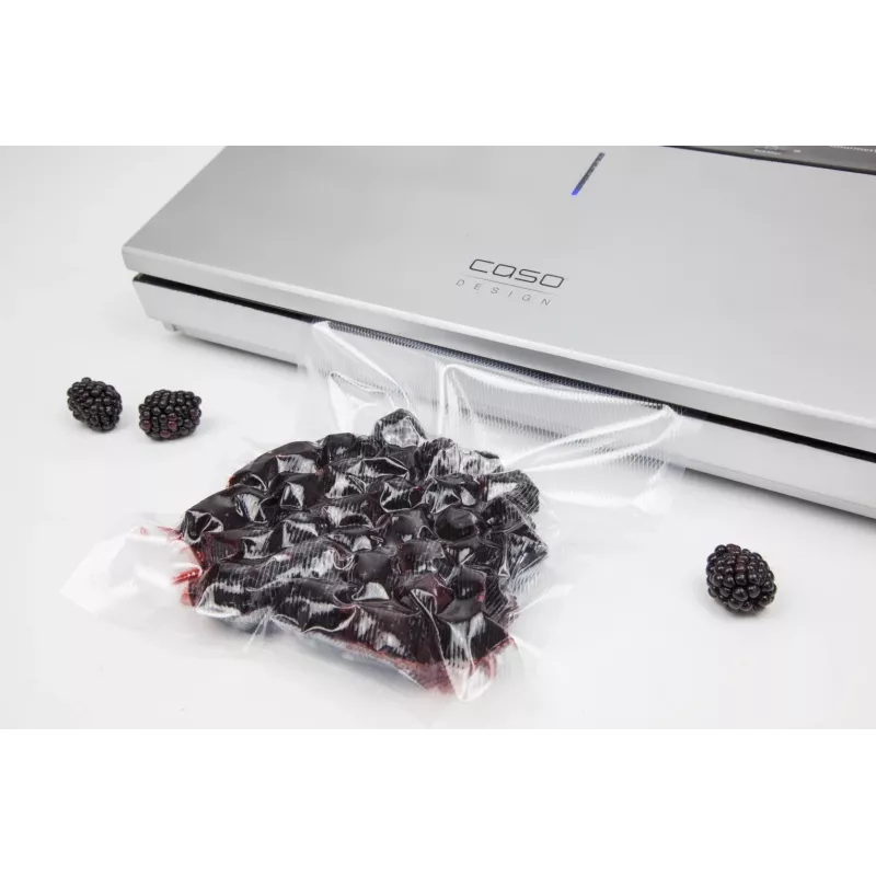 Caso GourmetVAC 480 barinis vakuuminis pakuotojas, 160 W, sidabrinis