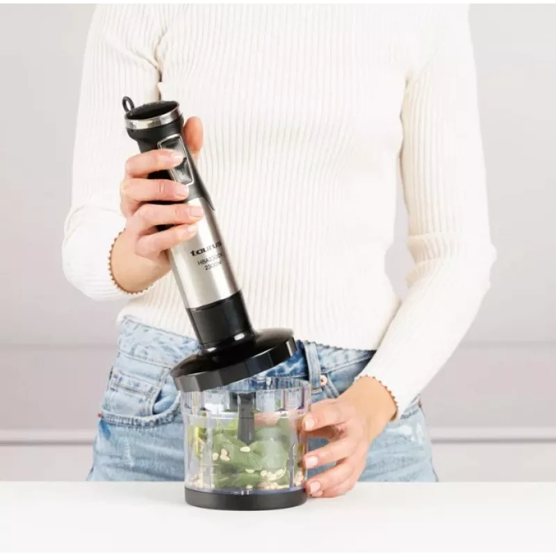 Panardinis blenderis Taurus HBA2300X su priedais, 2300 W