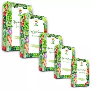Toraf Seed Set - rinkinys 1X5 2024 Toraf 60X1PCS