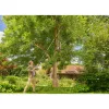 GARDENA StarCut Pro L T-rankena, reguliuojamas ilgis 175–400 cm