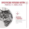 Šlapias kačių ėdalas Royal Canin FHN Ageing 11+ Gravy 12×85 g – visavertis ėdalas senjorams