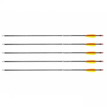 Strėlių rinkinys POE LANG D-055-B3 — stiklo pluošto strėlės, 710 mm, juodos, 5 vnt.