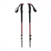 Trekking lazdos Black Diamond Trail Trekking Poles Iron Red