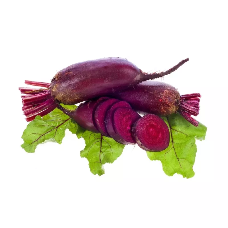 Sėklų juosta — Apte burokėlis (raudonas) Opolski cilindrinis, 6 m ritinys, paruoštas sėjai