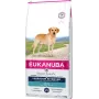 Sausas šunų ėdalas EUKANUBA Adult Labrador Retrievers 12 kg – vištiena ir kalakutiena, 23% baltymų, 13% riebalų