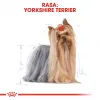 ROYAL CANIN BHN Yorkshire Terrier Adult sausas šunų ėdalas - 7,5 kg