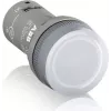 ABB 1SFA619403R5238 Panikknopf Wired (1SFA619403R5238)