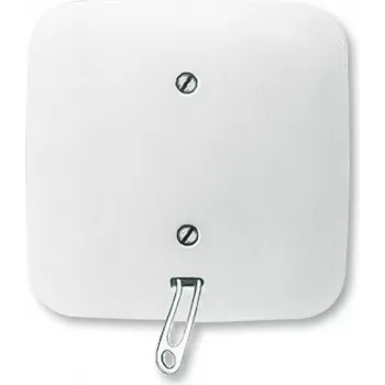 Busch Jaeger 2CKA001315A0027 Elektrinis jungiklis su traukimo grandine, baltas