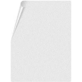 Apsauginis ekrano stiklas HTC SP P890 (2 vnt.)