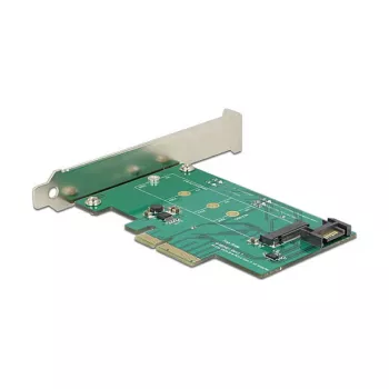 DeLOCK 89381 Vidinė PCIe M.2 SATA sąsajos kortelė