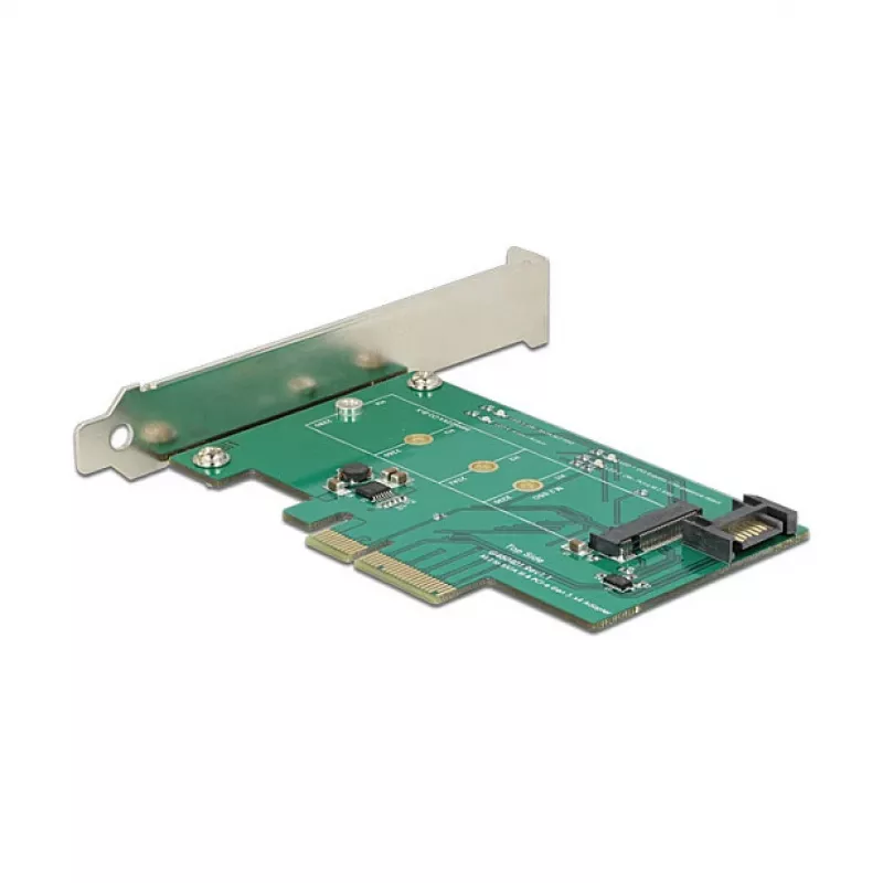 DeLOCK 89381 Vidinė PCIe M.2 SATA sąsajos kortelė