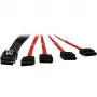 Inter-Tech SATA / SAS kabelis - Serial ATA 150/300/600 - 4 kanalų - 36 PIN 4iMini MultiLane į SATA - 1,0 m - Raudonas (88885301)