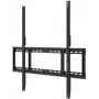 OPTOMA TECHNOLOGY Laikiklis N ekranams (H1AX00000257)