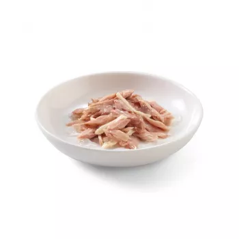 SCHESIR Tunas su vištiena želėje – šlapi kačių ėdalas – 85 g