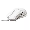 Pelytė White Shark GM-5016 Ector White USB