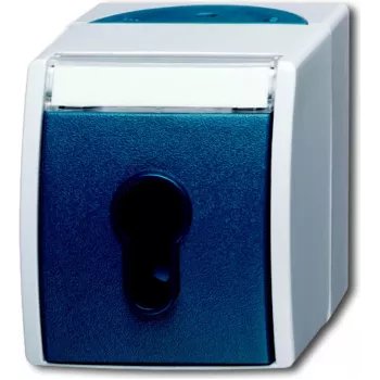 BUSCH-JAEGER 2733 SLW-53 jungiklis mėlynai pilkas IP44 250V