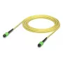 Ubiquiti InfiniBand šviesolaidinis kabelis UACC-OFC-SA-MPMP-5M 5 m OS2 geltonas