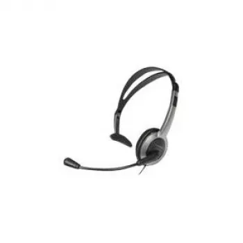 Panasonic RP-TCA430E-S – Ausinės ant ausų, laidinės (RP-TCA430E-S)