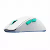 CHERRY XTRFY M64 Wireless belaidė žaidimų pelė