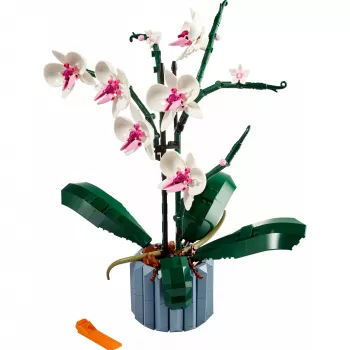LEGO 10311 Icons Orchidėja – Dirbtinių Gėlių Konstruktorius Suaugusiems, Namų Dekoro Aksesuaras, Botaninė Kolekcija, Dovana Žmonai ar Vyrui