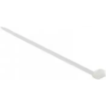 Kabelio raištis DeLOCK 19635 nailoninis baltas 760 mm 10 vnt.
