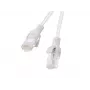 Lanberg PCU6-20CC-0025-S tinklo kabelis pilkas 0,25 m Cat6 U/UTP