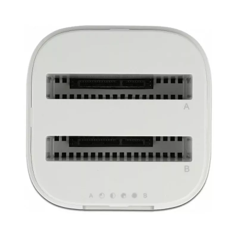 Docking stotelė DeLOCK USB Type-C 3.2, skirta 2 x 2,5 colio SATA HDD/SSD