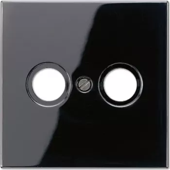 JUNG dengiamoji plokštelė juoda antenos lizdui LS 990 TV SW