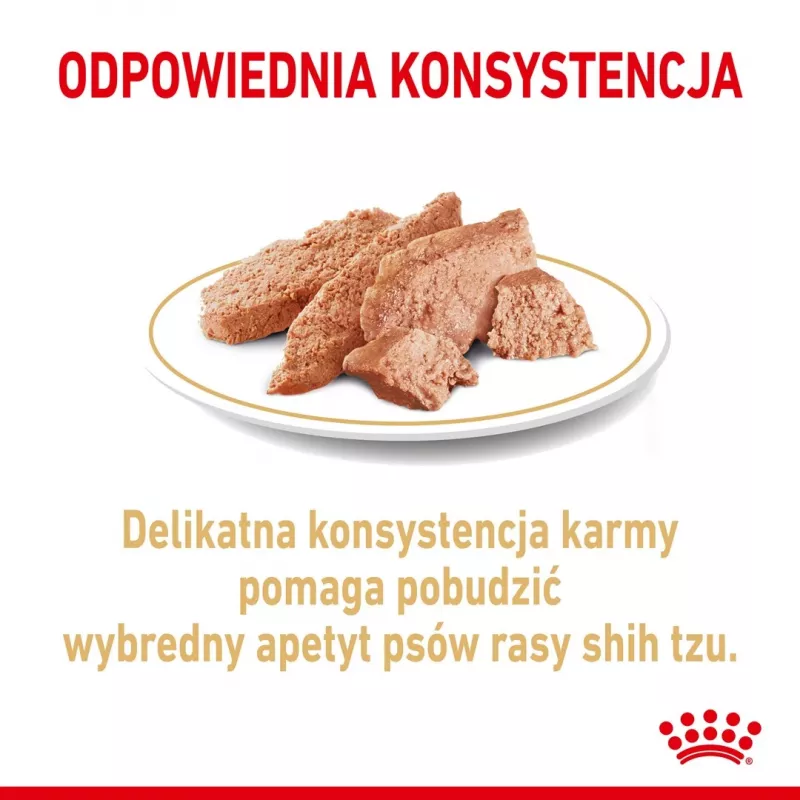 ROYAL CANIN Shih Tzu Suaugusiems Šlapias šunų maistas Pâté 12x85 g