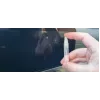 Gembird 7-in-1 Universalus Nešiojamas Valymo Rinkinys - Baltas