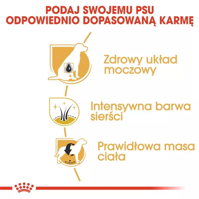 Sausas šunų ėdalas Royal Canin Miniature Schnauzer Adult, paukštiena, 3 kg, mažoms veislėms