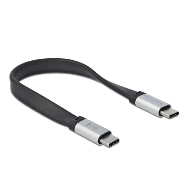 USB-C laidas DeLOCK 85926 USB 3.2 Gen 2 0.22 m USB C juodas sidabrinis