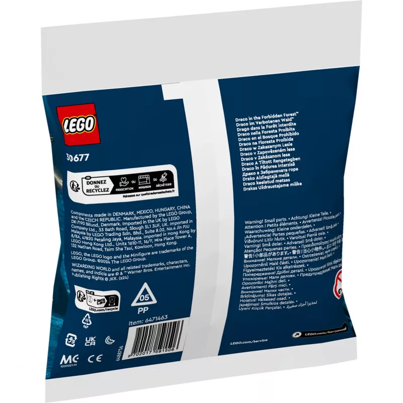 Konstruktorius LEGO Harry Potter rinkinys 30677 – Drakas Užburtojo miške minifigūrėlių scena