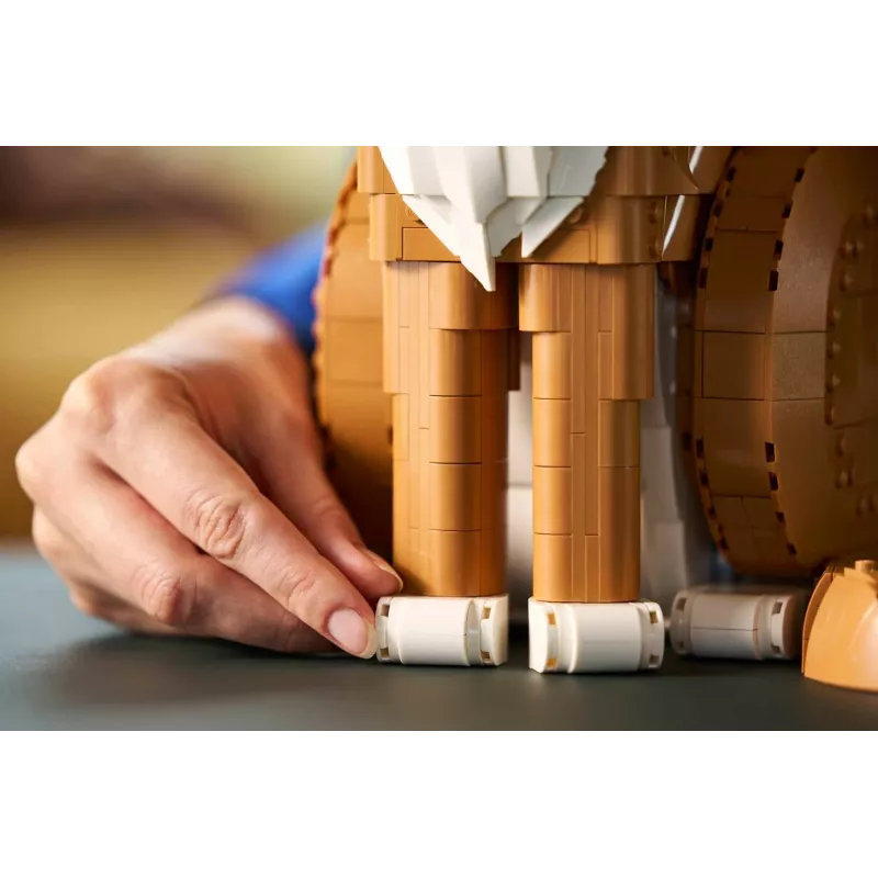 LEGO IDEAS 21376 Oranžinė katė