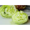 Sėklos Crisp Ice Lettuce Summer Toraf salotos, 1g pakuotė