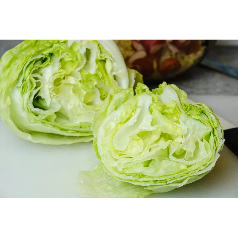 Sėklos Crisp Ice Lettuce Summer Toraf salotos, 1g pakuotė