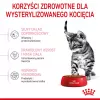 Royal Canin Kitten Sterilised sausas kačių maistas kačiukams 3,5 kg su paukštiena