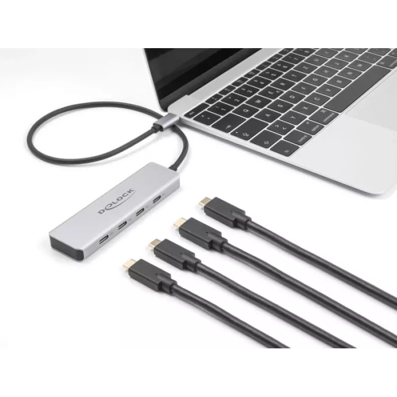 DeLOCK USB Type-C Hub 10 Gbps 4 prievadai aliuminis pilkas