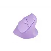 NATEC Crake 2 pelė, universali, dešinei rankai, RF belaidė + Bluetooth, optinė, 2400 DPI