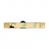 DeLOCK 95979 USB 2.0 kameros modulis