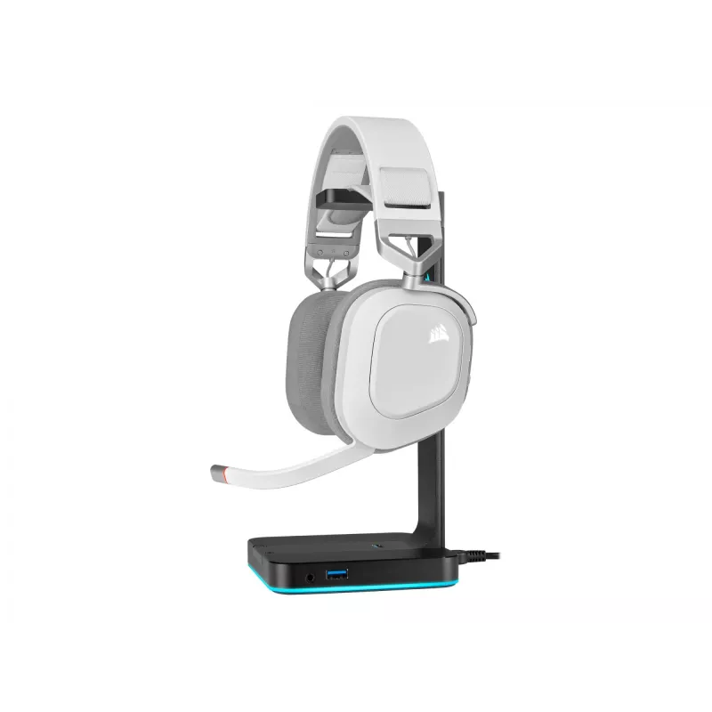 Ausinės Corsair HS80 RGB USB