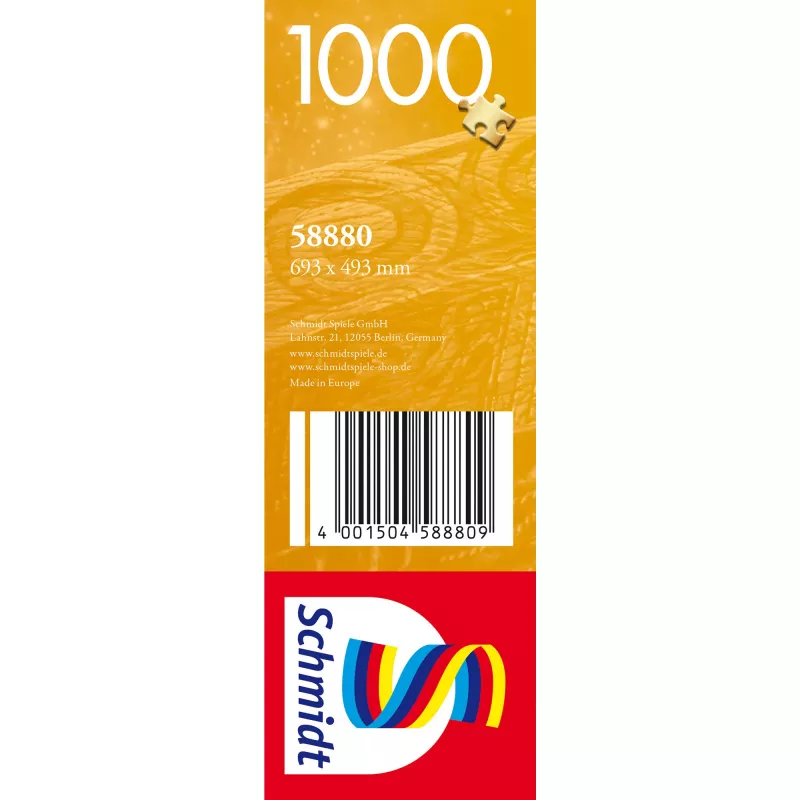 Dėlionė „Der Astronom“ 1000 dalių